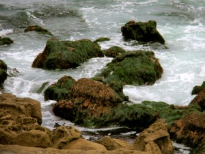The sea's striking contrast of colors and shapes