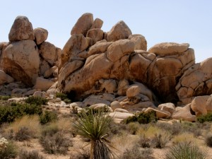 Hall of Horrors Joshua Tree National Park