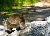 couldn't handle the teasing