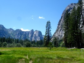 meadow views along tenaya creek