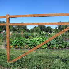 community gardens