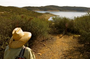 Looking out over the reservoir