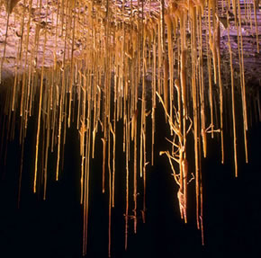 Breathtaking soda straws - image courtesy of azstateparks.com