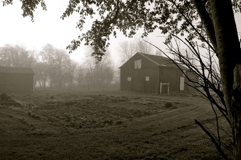 barn in early morning fog