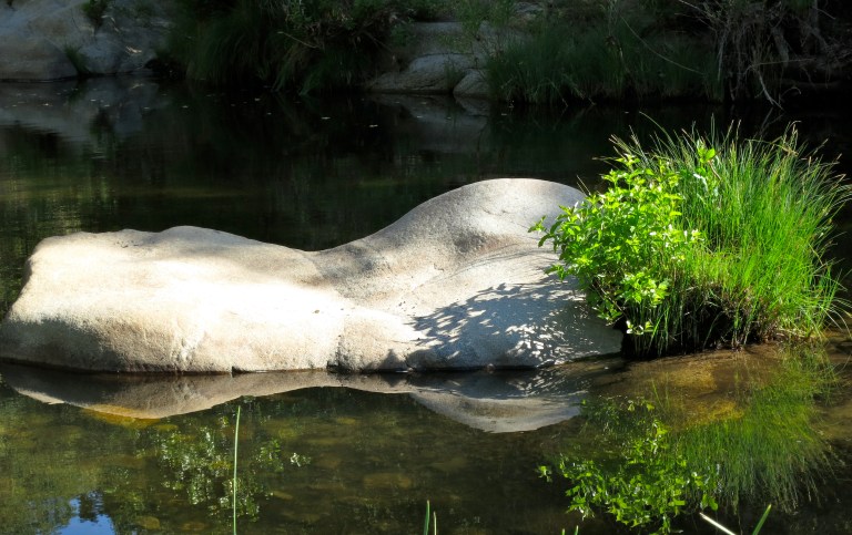 meditation cushion in the pond