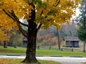 A golden autumn day at Sinking Spring Farm