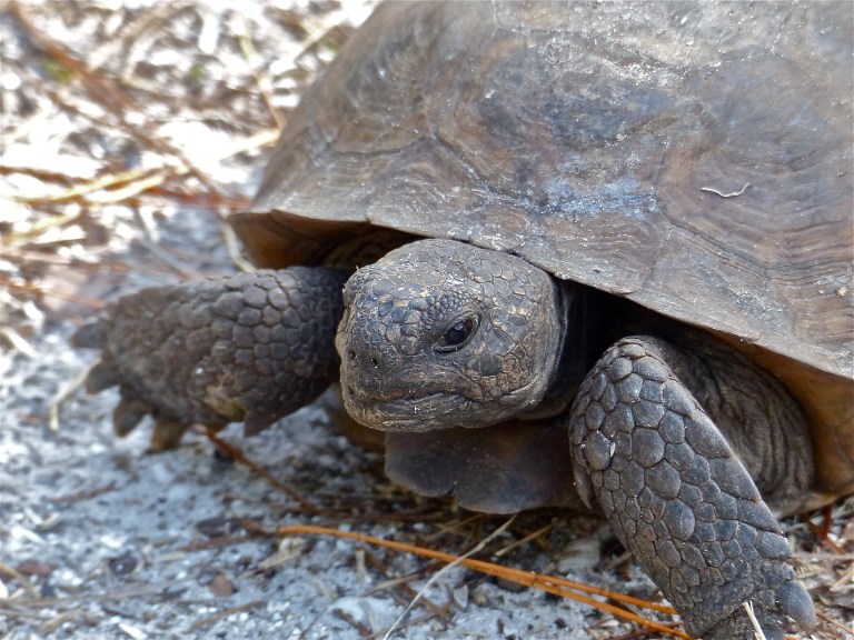 I am much easier to photograph, don't you think?