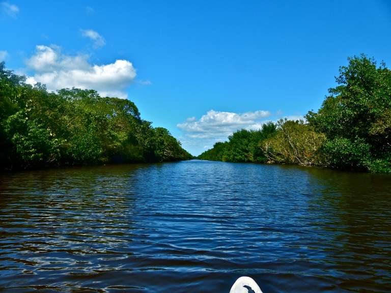 Traversing the Buttonwood Canal - a much different feel from the open Florida Bay