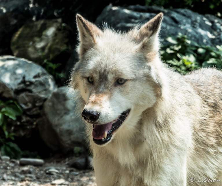 Minnesota_140728-1110198