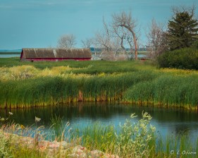 One of many ND "prairie potholes", with sprawling Devils Lake in the background