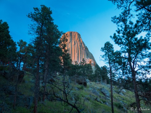 With wind blowing through the pines, the sun's final light sets the tower aglow.