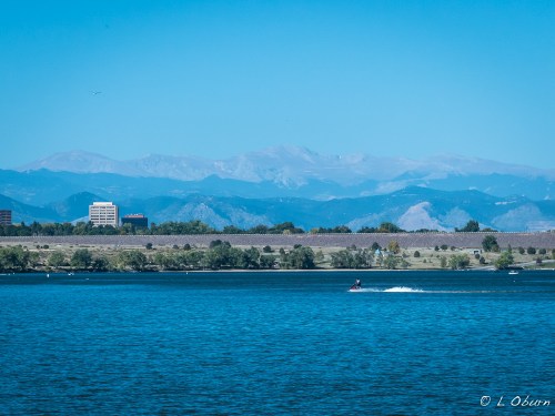 Shades of blue hover over the park