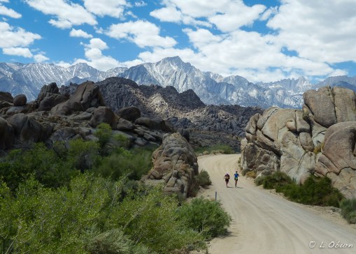 WWW runners on the 50K course