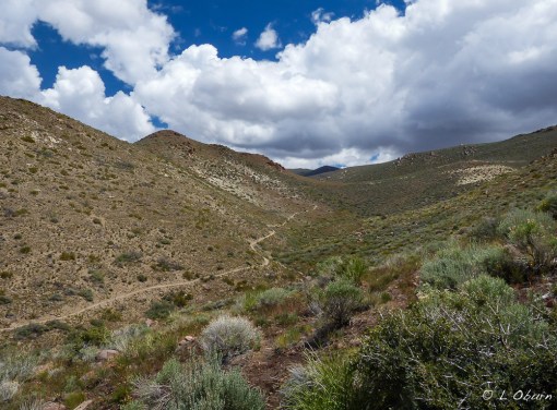 The hillside trail where we finally managed a hike .