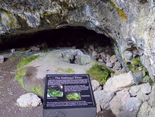 Entrance to Mushpot Cave