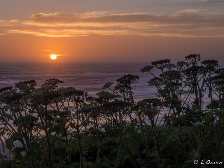This was our fireworks display on the 4th, at South Beach.